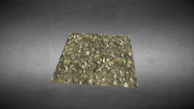 transparente lit de la rivière à texture du modèle 3d kyler kelpi e017299 fait composé pierres boue feuilles - une 3d print model - Mito3D