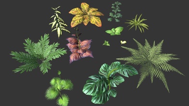 Ayarlamak bitki tropik satın almak telif Bedava 3d model ybreibyf ec8db2b çimen bitkiler örtüsü arazi çiçek tropikal avuç içi asma acayip Yaprak çalı 3d print model - Mito3D