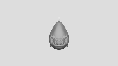 shark sculpting cgcookie course - download free 3d model bluedude487 fef9797 finished my first sculpt ever definitely feels good feel i&rsquo ve learned lot link https cgcookiecom lesson sculpt-mode-overview-2-8 3d print model - Mito3D