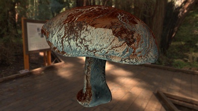 shrumite mushroom ii - 3d model skorzion 46b618f 3d print model - Mito3D