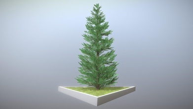 silver fir 20m version - buy royalty free 3d model vis-all-3d vis-all trees tree plant forest grass exterior pine realtime evergreen nature conifer 3dhaupt 3d print model - Mito3D