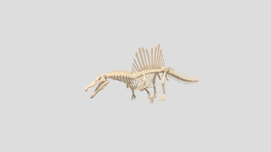 simple spinosaurus skeleton rigged - download free 3d model spinotronic ignitedbonnie2005 461a9ba 3d print model - Mito3D