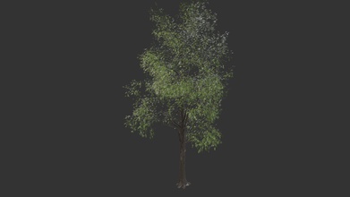 simple arbre à acheter des redevances gratuit modèle 3d de paul bourke pbourke 355d503 remplacer la feuille d'écorce texture couleur - 3d print model - Mito3D