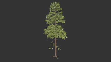 simple arbre à acheter des redevances gratuit modèle 3d de paul bourke pbourke 664a0a4 d'arbre remplacer la feuille d'écorce texture couleur - 3d print model - Mito3D