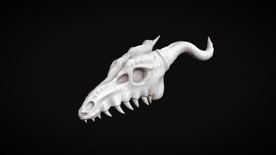 cranio 3d modello evan navata mrpalland 2da9170 3d print model - Mito3D