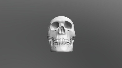 skull - 3d model yuvelirka3d e2f890a 3d print model - Mito3D