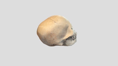 cranio Scarica gratuito 3d modello zombieblazer 17ddbe3 3d print model - Mito3D