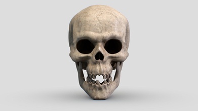 cranio decimazione acquistare royalty gratuito 3d modello dente anguilla wobin666 e5b7232 3d print model - Mito3D