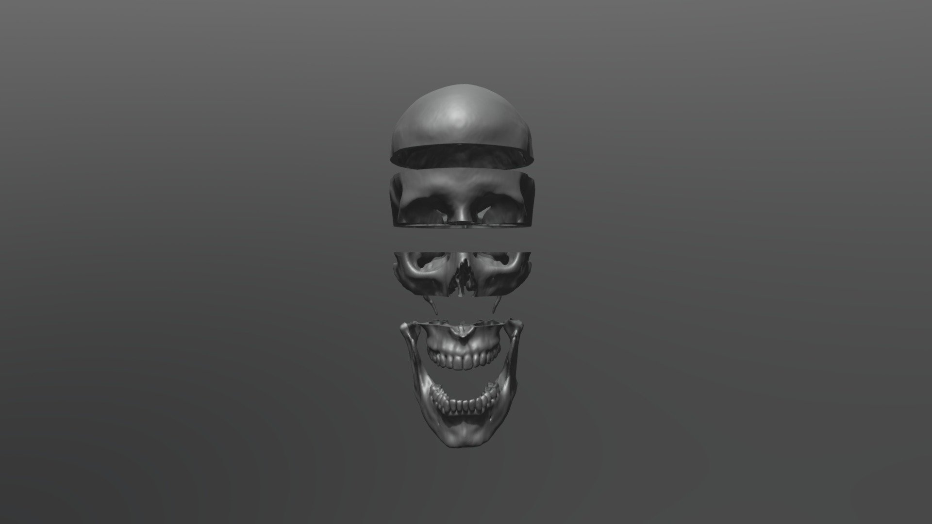 crânio hd 5 partes 3d impressão Comprar realeza livre modelo Valchanov anatomia osso 3dprintable cabeça antropologia 3dprint fêmea 3D print model - Mito3D