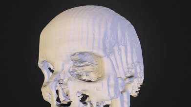 cranio modello ge ct scanner 3dst 3d gufo torrente tecnologie mebalzer 6ed1a9a 3d print model - Mito3D