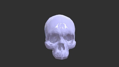 skull pl - download free 3d model nieznvny 2d95ca2 3d print model - Mito3D