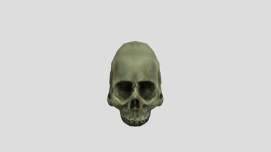 skull poly - 3d model jackambrose abe8fd0 3d print model - Mito3D