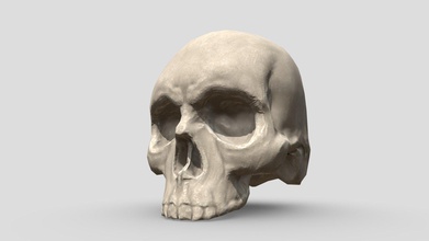 cranio retopology - modello 3d szymon carlosostrap 46a588f 3d print model - Mito3D