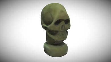 crâne sculpture analyse 3d modèle rendre île Renderisland 63e2430 3d print model - Mito3D
