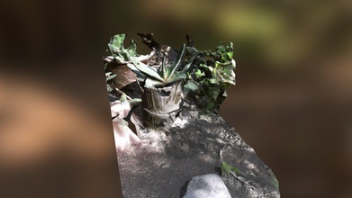 small garden plants - download free 3d model marcelotorresvega e63dbdc 3d print model - Mito3D