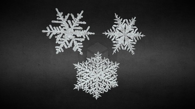 snowflake multi-pack - buy royalty free 3d model parsonsarts tomparsons 7c1a7d6 3d print model - Mito3D