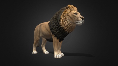 soth africano leão 3d modelo Panthera f9af991 3d print model - Mito3D