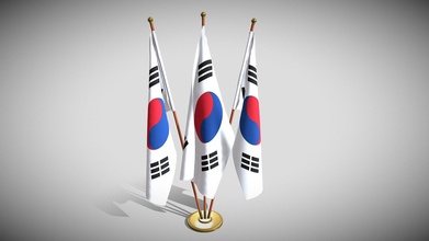 Sud Corea bandiera pacco acquistare royalty gratuito 3d modello dragosburian 6701a19 3d print model - Mito3D