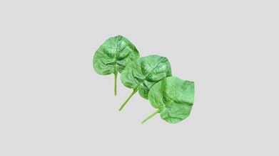 spinaci acquistare royalty gratuito 3d modello 3dlowpoly organico negozio verdura drogheria salutare lowpoly poli pronto per gioco 3d print model - Mito3D