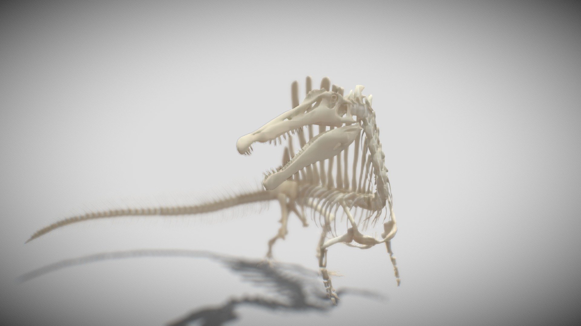 spinosaurus Aegyptiacus esqueleto 3d modelo iofry b014de5 3D print model - Mito3D