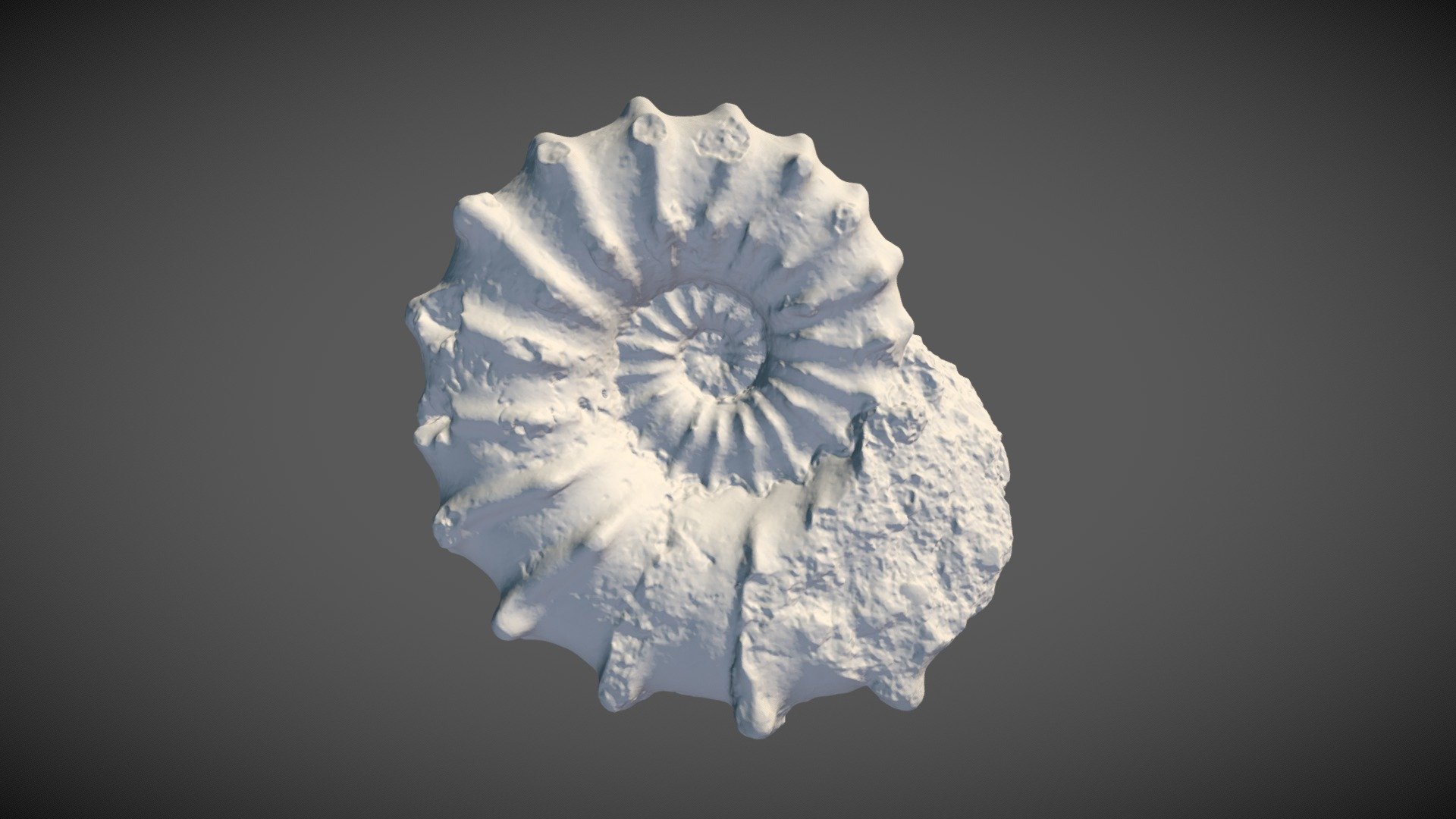 spiny ammonite - download free 3d model eddylab uliege 6976276 3D print model - Mito3D