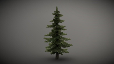 spruce tree mid poly lods - buy royalty free 3d model s7ndrik b3bbd74 3d print model - Mito3D