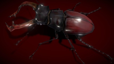 stag beetle lowpolys 3d - buy royalty free model vustudios 19c30d0 3d print model - Mito3D