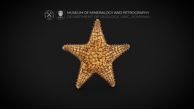 étoile mer 3d modèle musée minéralogie pétrographie uaic mineralogypetrographymuseum f7f207a 3d print model - Mito3D