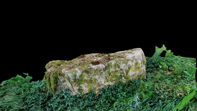 pedra moss - download grátis de modelo 3d tyrkir4 8b87614 outra pedra, me deparei não perfeita verificação feito s8 3d print model - Mito3D