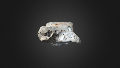 strange rock 1 - download free 3d model alex models alexmodels b3049dd porous some barnacles inside cavities found washed up seashore reconstructed photogrammetry fixed blender 3d print model - Mito3D