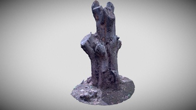stump scan lod1 - 3d model junomars f94210c 3d print model - Mito3D