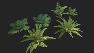 stylisé fougère plante pack 1 acheter royalties libre 3d modèle Alexiahousden 19fc4bd 3d print model - Mito3D
