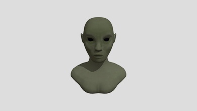 stylized head - download free 3d model wade kenny mr kenny12 e97d2d3 bald character nothing special 3d print model - Mito3D