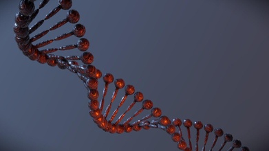 estilizado simplesmente visualização DNA 1 baixar livre 3d modelo leon dp Leondp 51f5ab2 3d print model - Mito3D