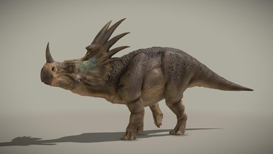 styracosaurus um fraudada animado v - comprar royalty free 3d modelo kyan0s 955017e albertensis criatura cretáceo da era i&aacute cinco feita blender, gimp não-manipuladas-não-versão animada https skfbly 6gr7y 3d print model - Mito3D