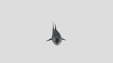 swiming shark - download free 3d model spidercraft9972 oscarlopezriviello 9c24181 3d print model - Mito3D