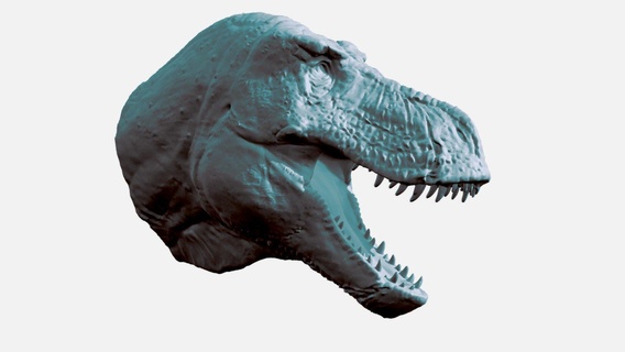 trex testa 3d stampa acquistare royalty gratuito modello stanza rickstick appiccicoso t rex tirannosauro 3dprintable 3dprinting paleontologia dinosauri cretaceo 3dprinter mesozoico paleoart animale preistorico dinosauro dino 3d print model - Mito3D