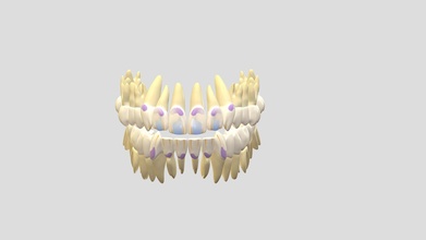 dientes simplificado dental anatomía estética 3d modelo bkobax 76eded9 3d print model - Mito3D