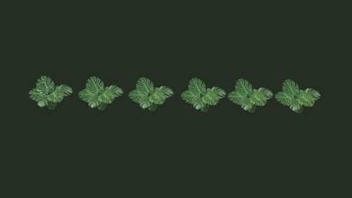 tessellated monstera lod models - buy royalty free 3d model structure world 40297d0 jungle plant 5 other 3d print model - Mito3D