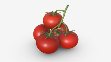 tomate filial 01 - compra isenta de royalties modelo 3d hq3dmod aivisastics 18a63e5 3d print model - Mito3D
