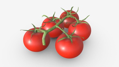 tomate ramo 02 - comprar royalty free 3d modelo hq3dmod aivisastics ea183ec 3d print model - Mito3D
