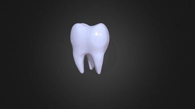 tooth - buy royalty free 3d model skazok anatomy biology bone teeth dental health tusk 3d print model - Mito3D