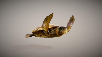 tortuga golfina nadando - 3d model jorgearodriguez d012529 3d print model - Mito3D