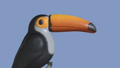 toucan stand - wip 3d model cwasden 6d1557e part project am doing based painting &ldquo looking mirror&rdquo james christensen still have long way go but since progress slow though would least post been working it i&rsquo ll update make changes 3d print model - Mito3D