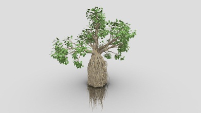 árvore-a1 - download grátis de modelo 3d asma greenkish2020 f15b763 espero que você use o seu projeto chamada &rdquo criativo árvore&rdquo algumas vezes tentar encontrar meu pensa minha mente 3d print model - Mito3D