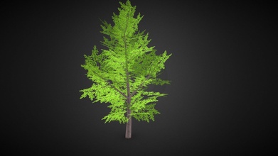 ağaç satın almak telif Bedava 3d model adarshpawar 0da544d 3d print model - Mito3D