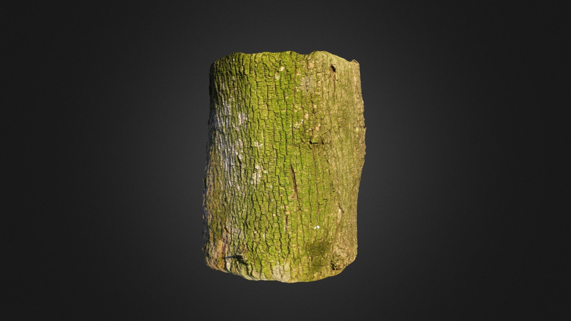 tree chunk - 3d model senyul c026d31 3D print model - Mito3D