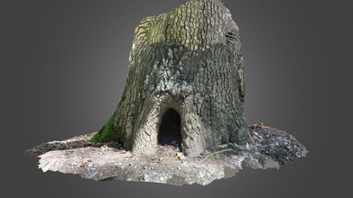 tree hole - download free 3d model terrie simmons-ehrhardt terrielsimmons 18ee269 3d print model - Mito3D