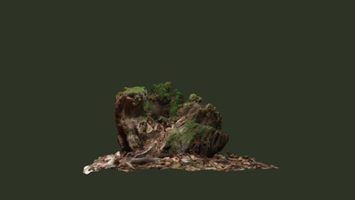 tree stump 2 - download free 3d model kirstieh 86f308f 2nd attempt 3d print model - Mito3D