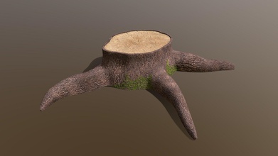 tree stump moss - download free 3d model delf295 66d60d6 around 22k vertices color normal gloss map included 3d print model - Mito3D